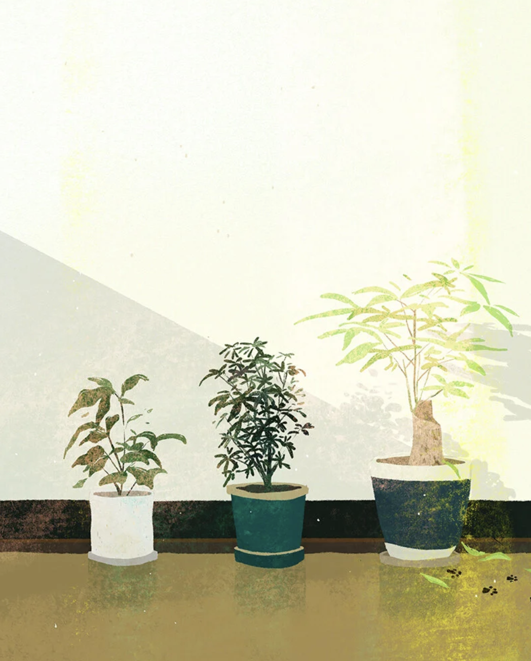 Illustration