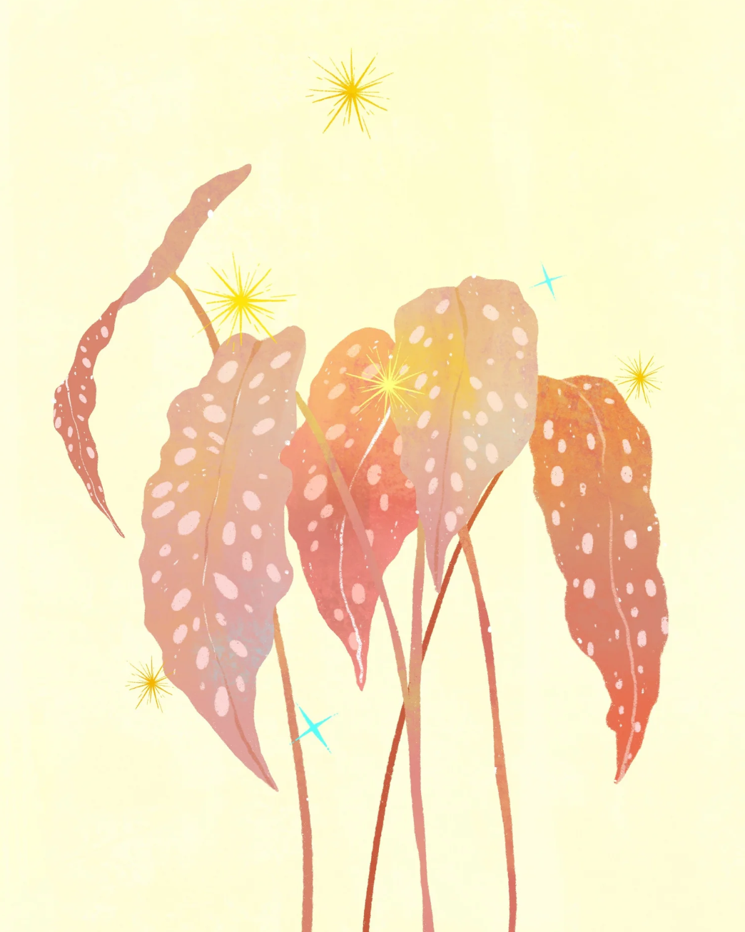 Illustration